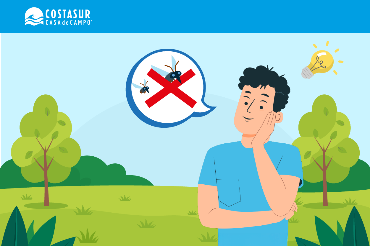 prevencion-mosquitos-noviembre-2025