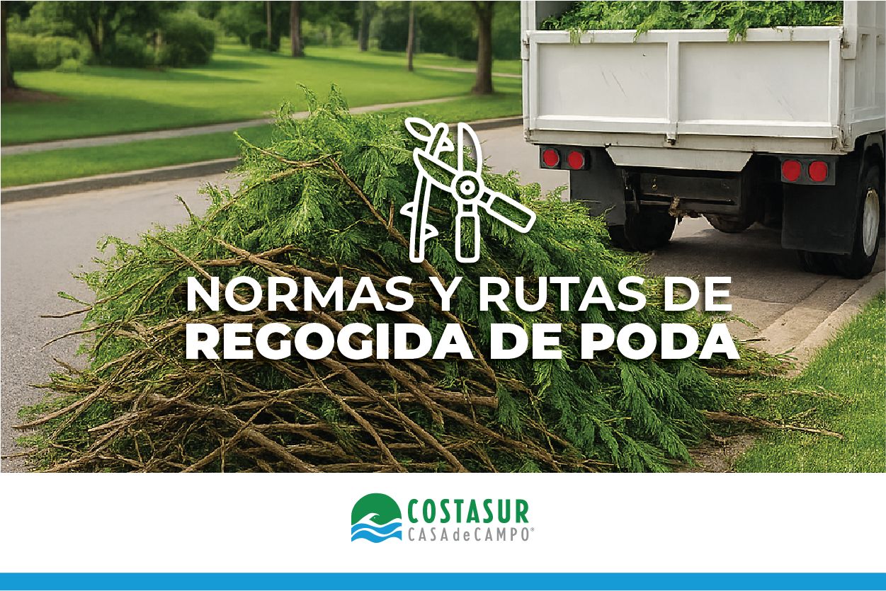 recogida-de-poda