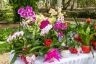 thumb_7E1A9692
