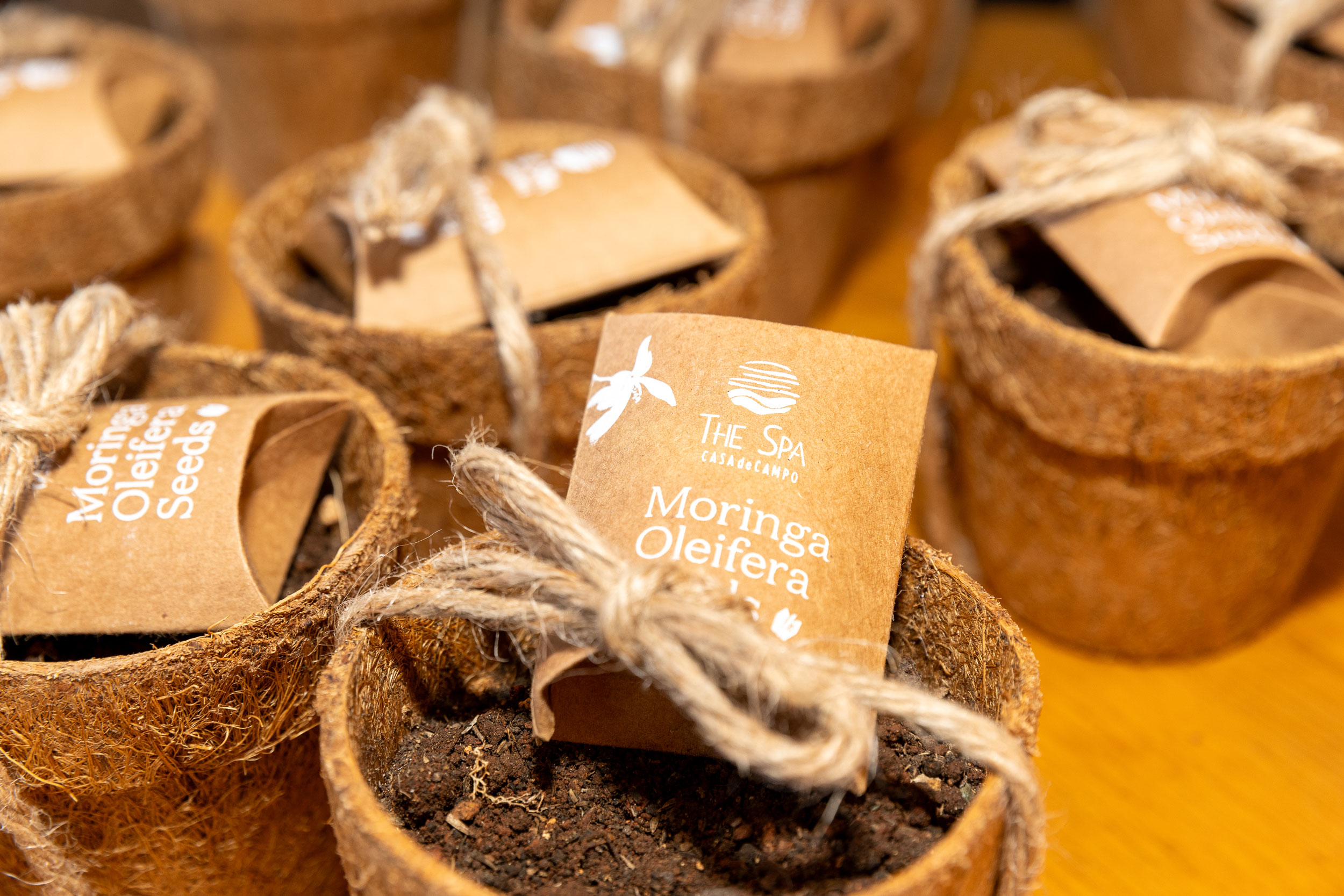 Casa de Campo Resort & Villas y Moringaia celebran un encuentro único entre belleza natural y sostenibilidad