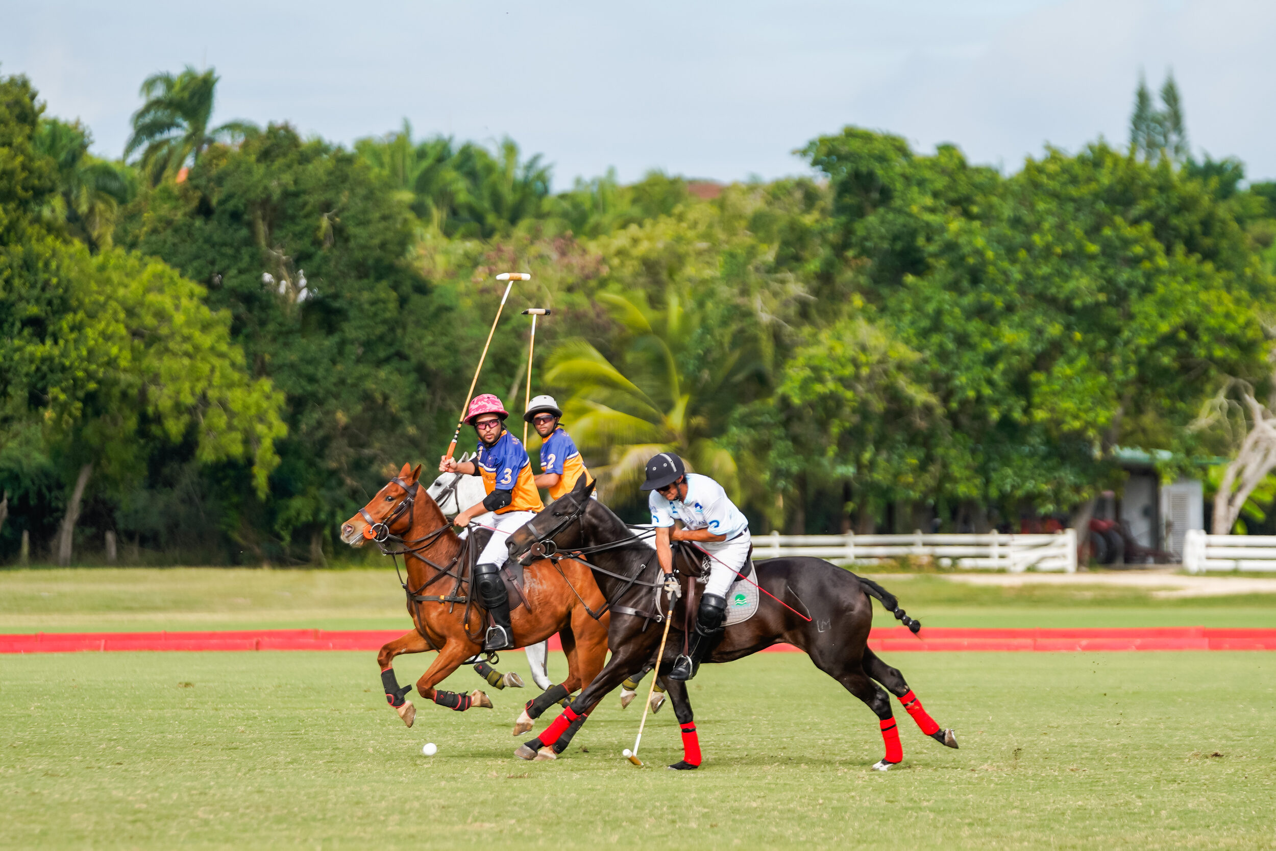 The British Chamber of Commerce held its British Polo Cup, in its 10th edition