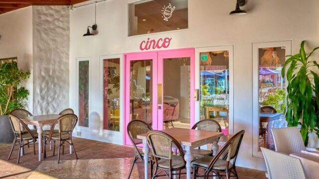 business-marina-five-ice cream